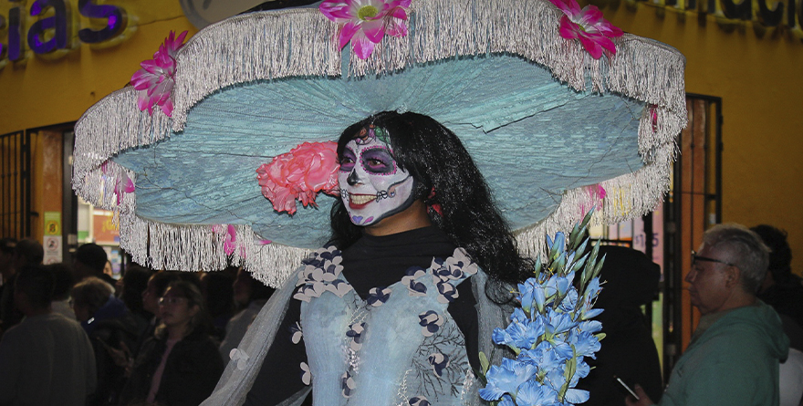 CATRINA MAYOR