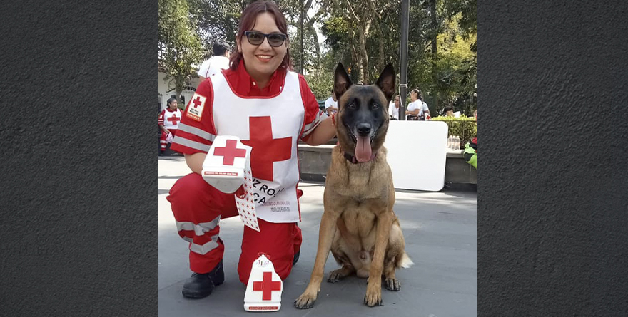 COLECTA CRUZ ROJA 4