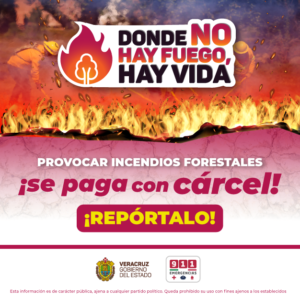 https://www.ssaver.gob.mx/blog/2024/03/25/recomendaciones-ante-incendios-forestales/