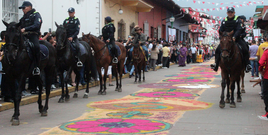 guardia montada