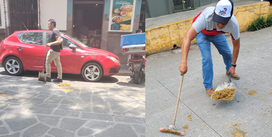 DEFIENDEN LIMPIEZA TRAS CABALGATA