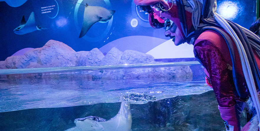 CELEBRA AQUARIUM DE VERACRUZ DÍA DEL ORGULLO LGBTIQ+