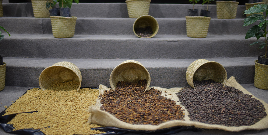 CREAN COMISIÓN ESPECIAL QUE ATENDERÁ LA CAFETICULTURA