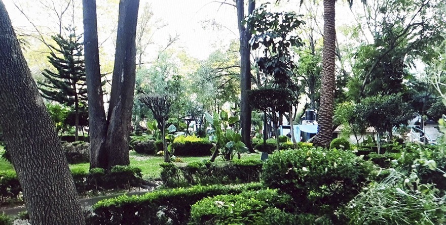 CUANTIFICAN PARQUES Y JARDINES DE LA CDMX, DEL SIGLO XVI A NUESTROS DÍAS