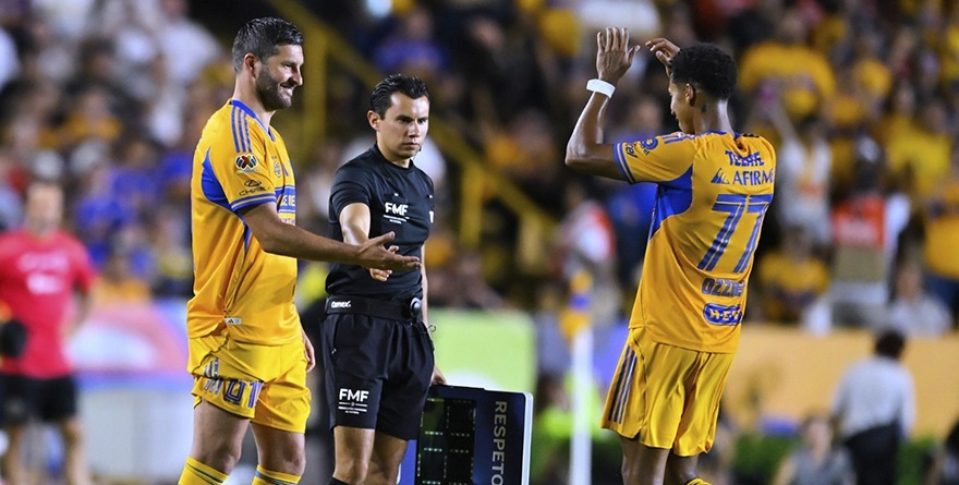 ZARPAZO DE LOS TIGRES