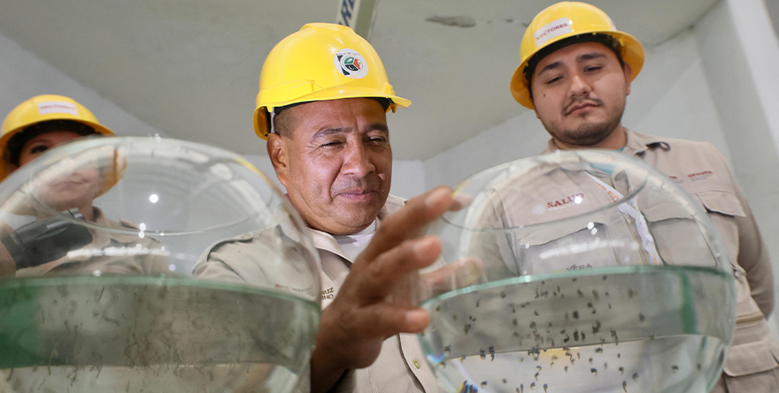 ACCIONES PARA PREVENIR EL DENGUE EN LA REGIÓN CENTRO