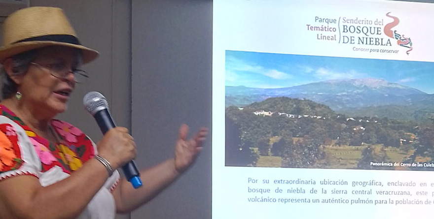 “SENDERITO DEL BOSQUE DE NIEBLA”, INSPIRACIÓN PARA ESTUDIANTES DE BIOLOGÍA