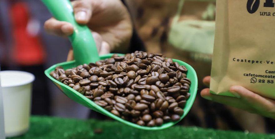 CAFÉ VERACRUZANO EN EXPO CAFÉ 2025