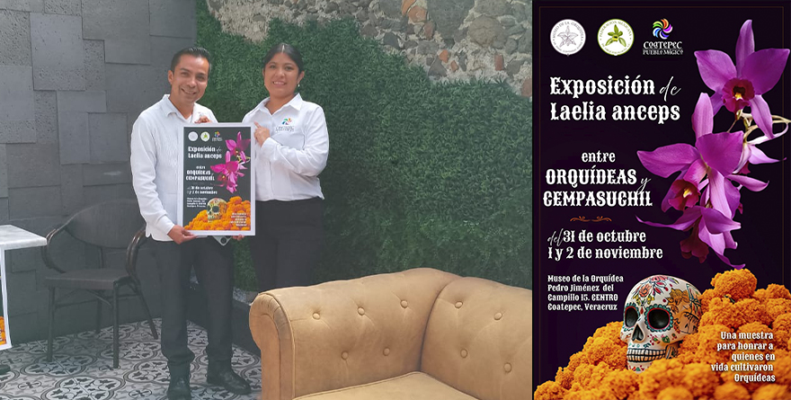 ENTRE ORQUÍDEAS Y CEMPASÚCHIL