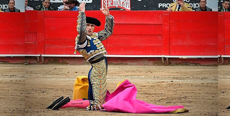 EL GALO CORTÓ UNA OREJA