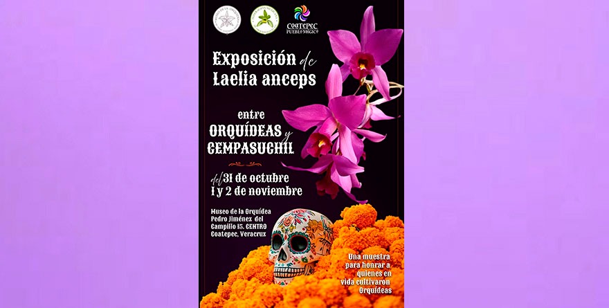 GRAN EXPO DE ORQUÍDEAS POR DIA DE MUERTOS        