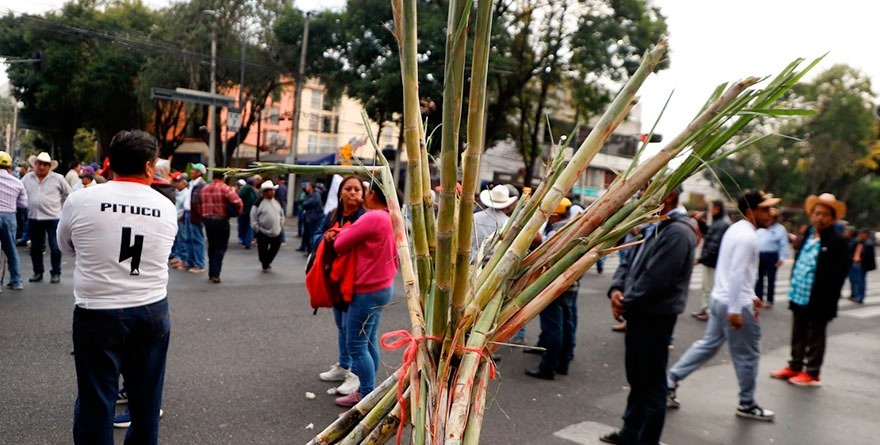 AHORA LOS CAÑEROS RECLAMAN SUBSIDIO
