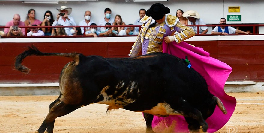 MALOGRA ROCA REY FAENÓN