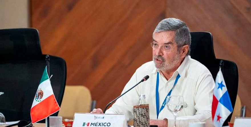 LICENCIA DE CANCILLER SERÁ POR ‘UNAS SEMANAS’