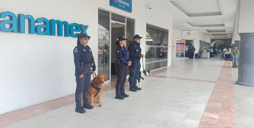 SEGURIDAD EN EL BUEN FIN 2025