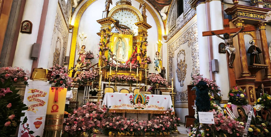 GALLO GUADALUPANO 2025