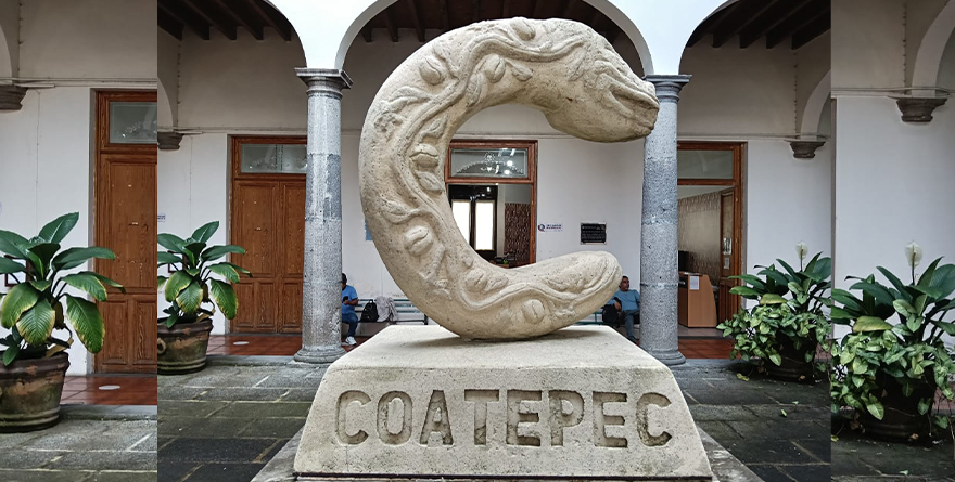 TRANSICIÓN ORDENADA Y SERVICIOS EN COATEPEC