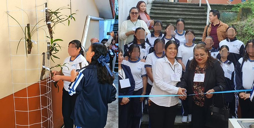 GUARDIANES DE LAS ORQUÍDEAS SIGUE CRECIENDO EN COATEPEC