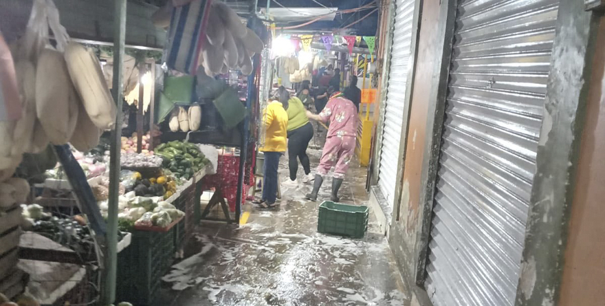 MANOS A LA OBRA POR UN MERCADO LIMPIO