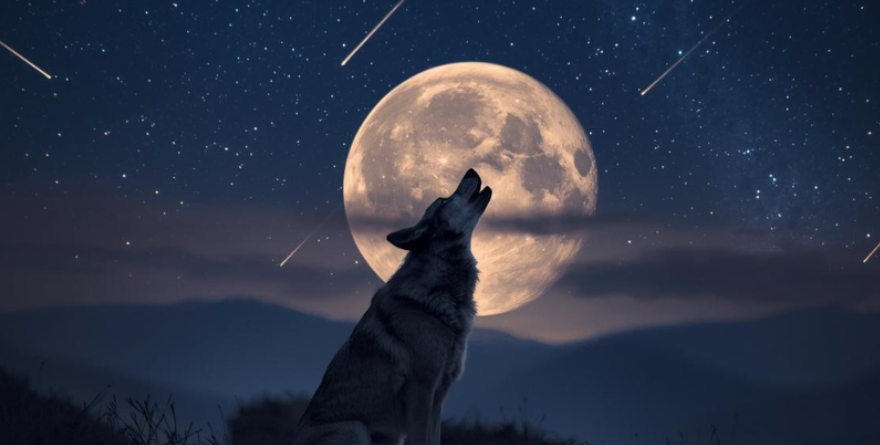 La Luna del Lobo del 2026