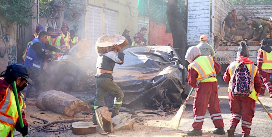 DEJA SISMO 2 MUERTOS, FLAMAZO, DESLAVES Y CAÍDA DE ÁRBOLES