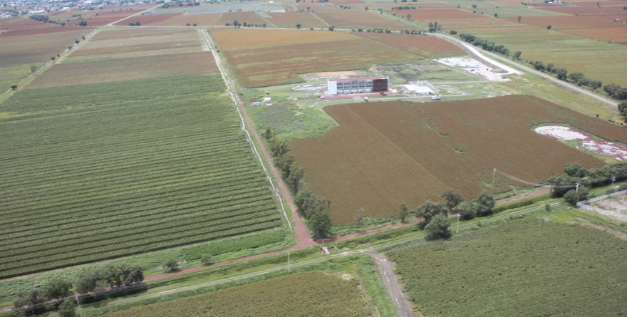 NIEGA AGRO CORONA ACTIVIDADES ILEGALES