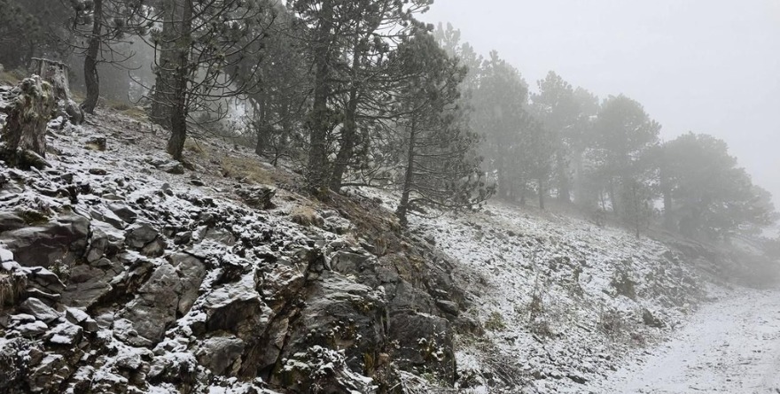 PEGA TORMENTA INVERNAL