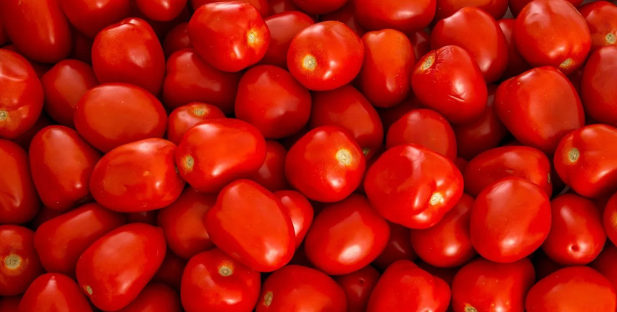 TOMATE SE DISPARA POR BLOQUEOS Y HELADAS