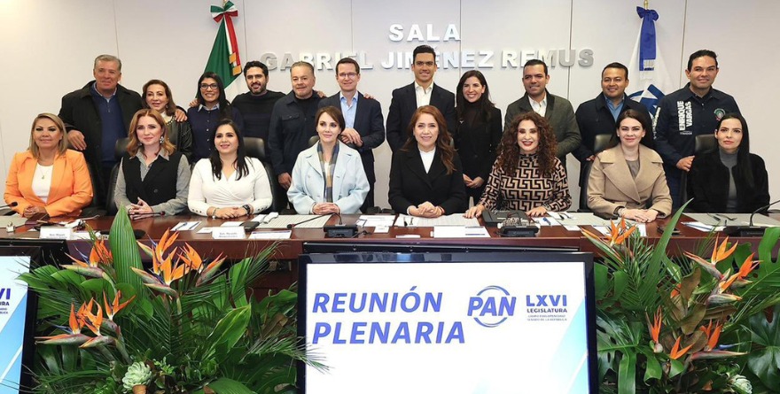 APOYA PAN CAMBIOS EN ELECCIÓN DE PLURIS