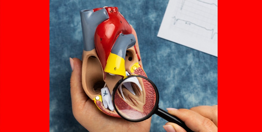 DETECCIÓN OPORTUNA LA CLAVE CONTRA CARDIOPATÍAS CONGÉNITAS