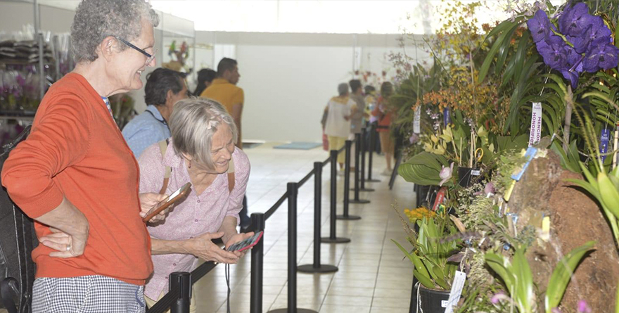 FESTIVAL INTERNACIONAL DE LA ORQUÍDEA