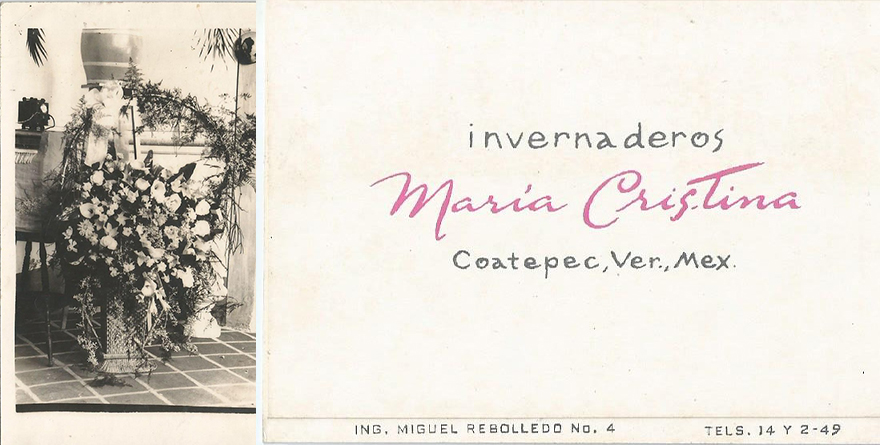LAS ORQUÍDEAS EN LA IDENTIDAD CULTURAL DE LOS COATEPECANOS