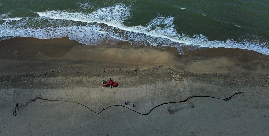 ALERTAN DE CONTAMINACIÓN EN EL GOLFO DE MÉXICO