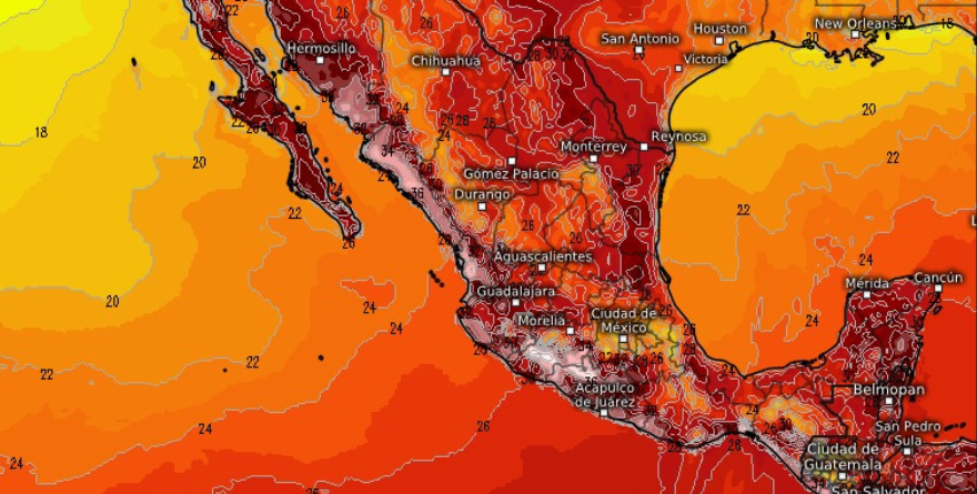 Texto - 2026-03-13T155603.178
