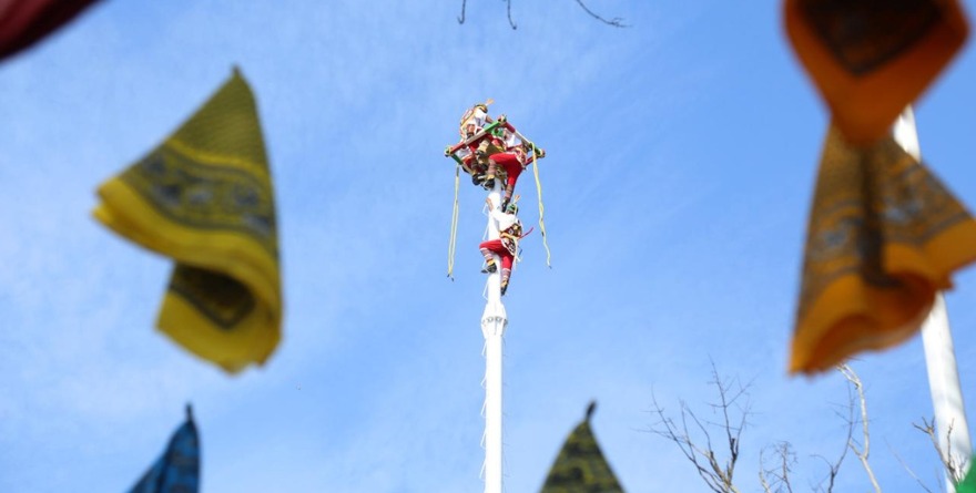 WhatsApp Image 2026-03-13 at 12.43.24 PM