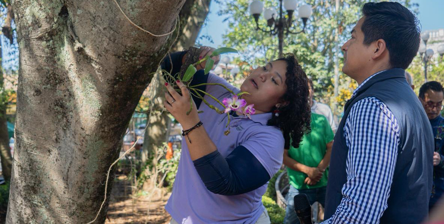DÍA NACIONAL DE LA ORQUÍDEA