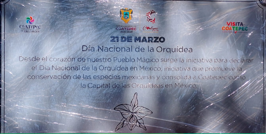 DEVELACIÓN DE PLACA DE LA ORQUÍDEA