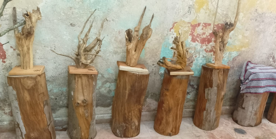 CASA AMARILLA “RAÍCES DE CAFETO”