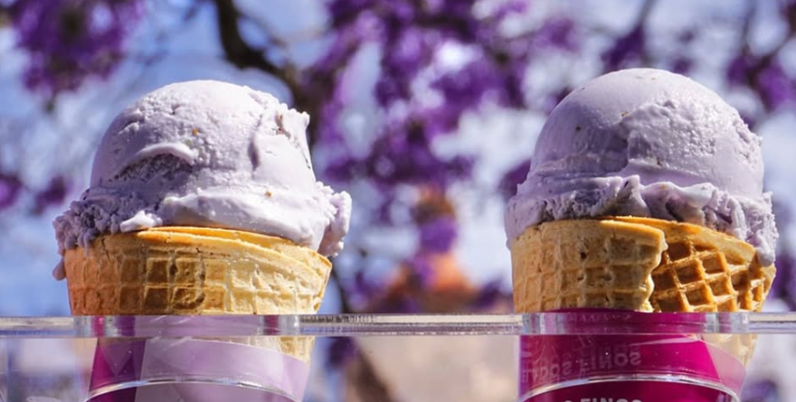 HELADO DE JACARANDA: FRESCURA COLOR VIOLETA