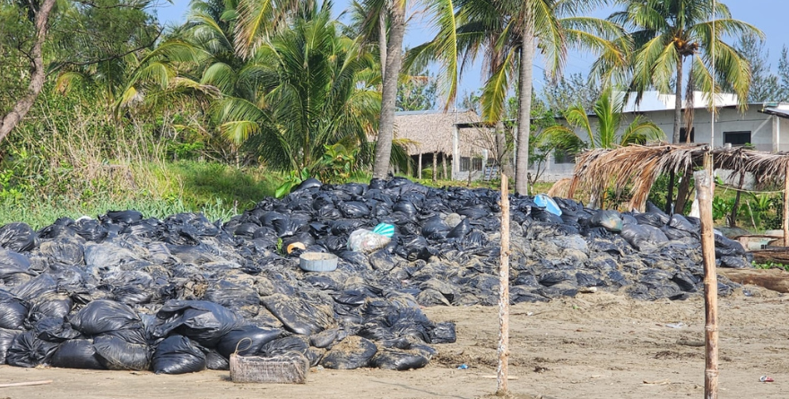 RECOGEN CHAPOPOTE, PERO LO ABANDONAN EN BOLSAS EN VERACRUZ