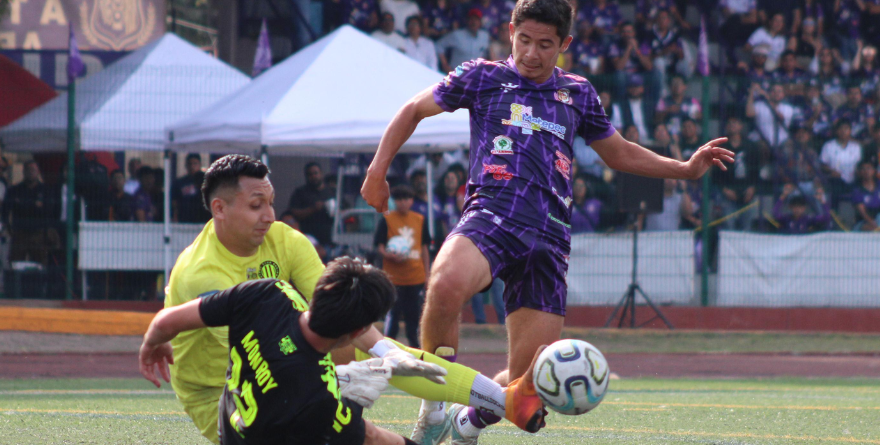 ARTESANOS METEPEC: ¡CAMPEÓN DE LA SERIE B!