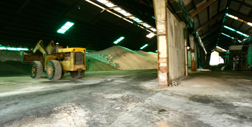SUFRE AGRO: SUBE 55% FERTILIZANTE POR GUERRA