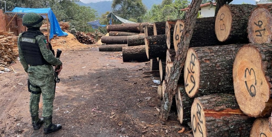 ‘SON TRABA MADERA Y PESCA ILEGALES’