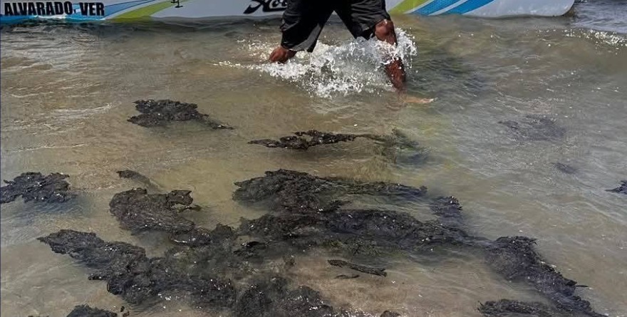 ATRIBUYEN A PC DE VERACRUZ ABANDONO DE CHAPOPOTE EN PLAYAS