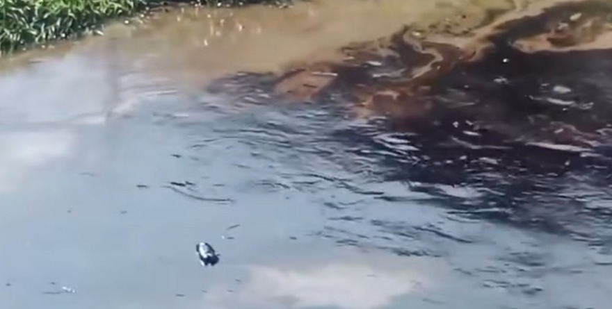DEJA LLUVIA RESIDUOS DE CRUDO EN POZA RICA