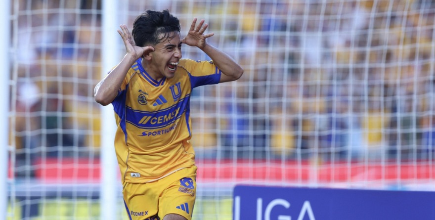 APUNTEN A TIGRES EN LA LIGUILLA
