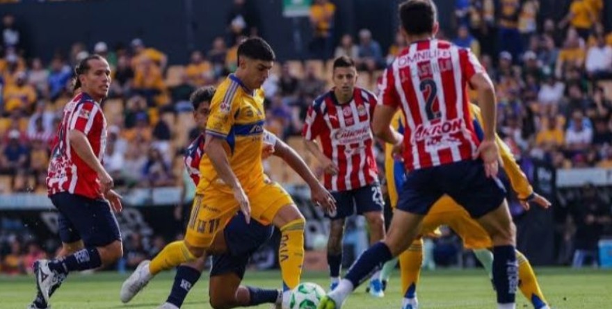 ENFRENTARÁ TIGRES A UN GUADALAJARA DESMANTELADO