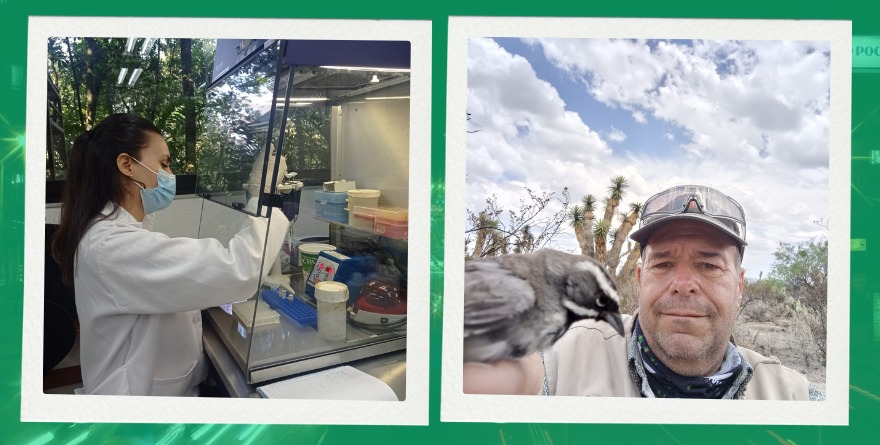 INVESTIGADORES POTOSINOS DESARROLLAN PROYECTOS DE SALUD Y CONSERVACIÓN AMBIENTAL