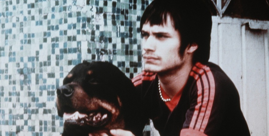 GUION ORIGINAL DE ‘AMORES PERROS’ SERÁ ADAPTADO COMO SERIE