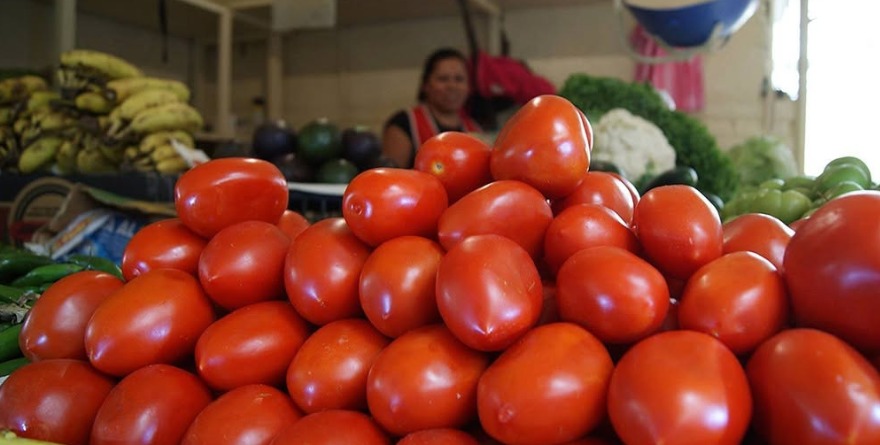 ARANCELES Y SEQUÍA MARCHITAN AL JITOMATE MEXICANO